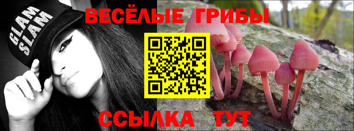 Галлюциногенные грибы ЛСД  Галлюциногенные грибы Psilocybine cubensis  Медногорск  Вход с VPN 